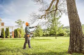 Best Grass Overseeding  in Bel Air South, MD