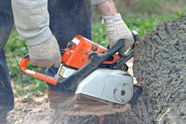 Best Lawn Mowing  in Bel Air South, MD